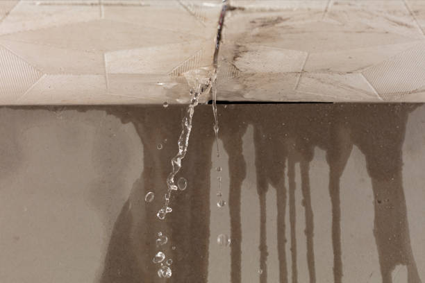Professional Flood Damage Cleanup technician working in Hebron, IL
